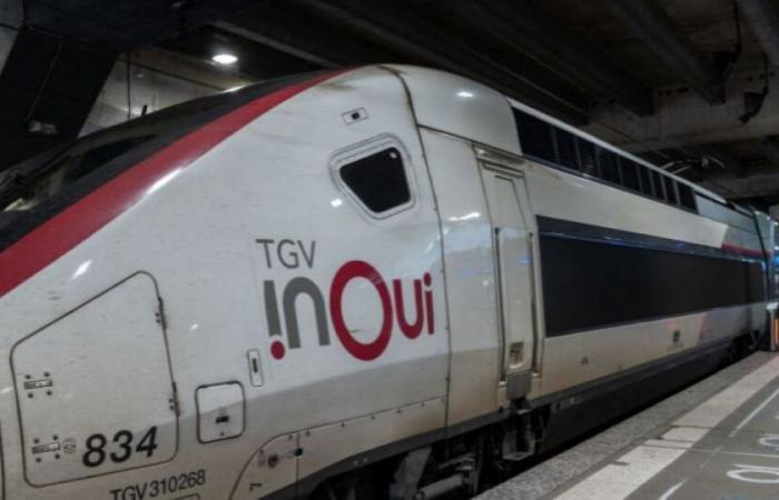 SNCF: avviso di sciopero rinnovabile dell'11 dicembre depositato: News