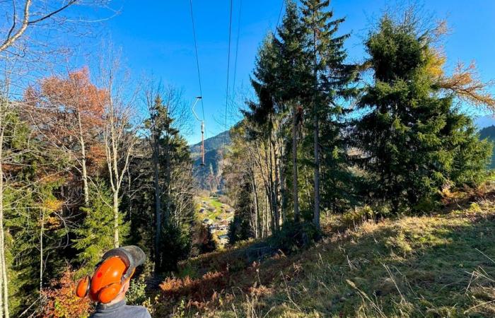 Pronti per l’inverno: hanno solo due piste da sci, ma ci pensano loro!