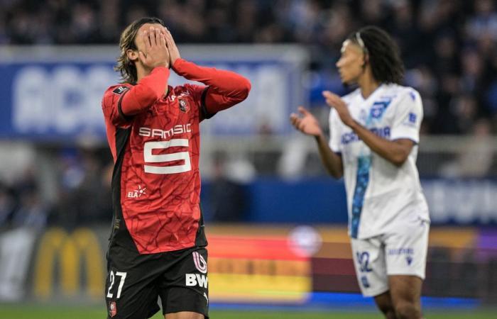 Ligue 1. Stade Rennes in piena nebbia prima di ospitare il Tolosa