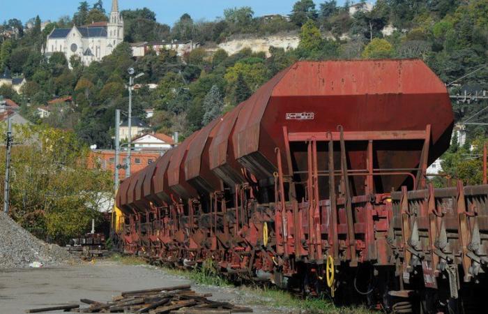 SNCF: i sindacati chiedono uno sciopero a tempo indeterminato dall'11 dicembre per protestare contro lo smantellamento di Freight