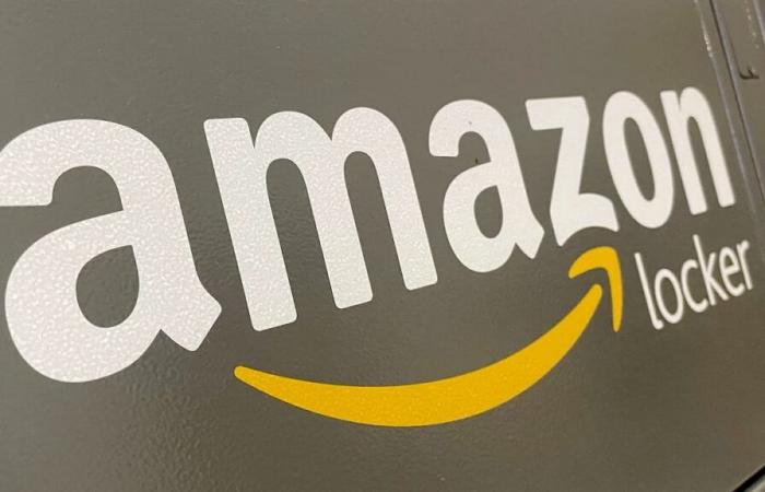 Consegna gratuita dei libri: Amazon sta infrangendo la legge?