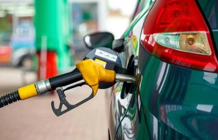 Diesel e benzina: analisi della marginalità lorda dei distributori nel 2° trimestre 2024 (Consiglio Concorrenza)