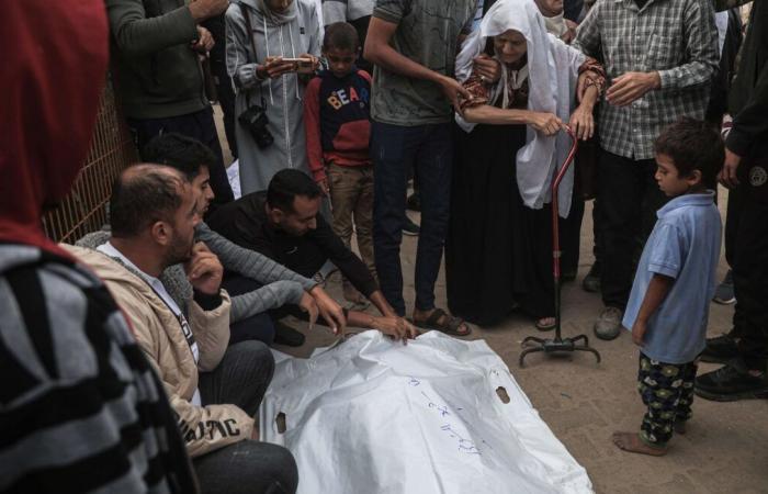 Quattordici morti in due attacchi israeliani su Gaza