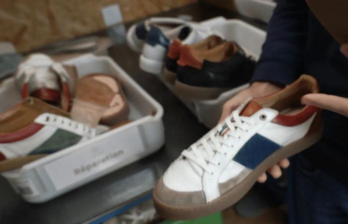 la sneaker tricolore punta sull’innovazione per distinguersi