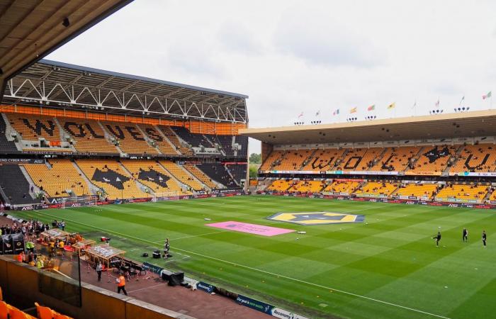 Aggiornamenti del punteggio LIVE Wolverhampton vs Southampton (1-0) | 9 novembre 2024