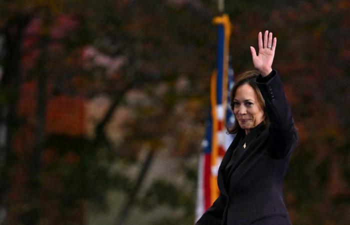 perché la classe operaia americana ha abbandonato Kamala Harris e i democratici