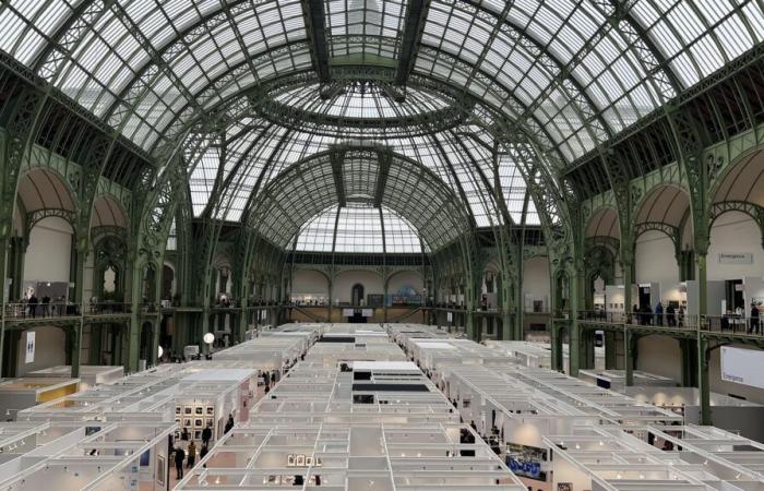 Foto di Parigi: il tanto atteso ritorno al Grand Palais! | RMN