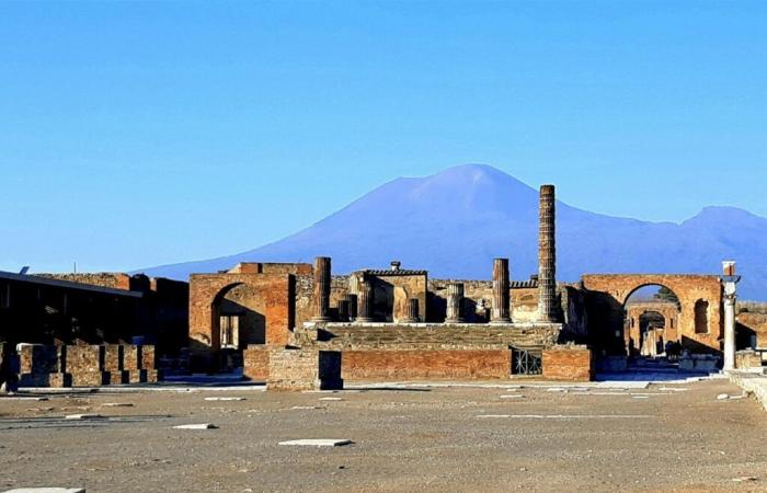 Il DNA delle vittime dell'eruzione di Pompei rivela informazioni inaspettate