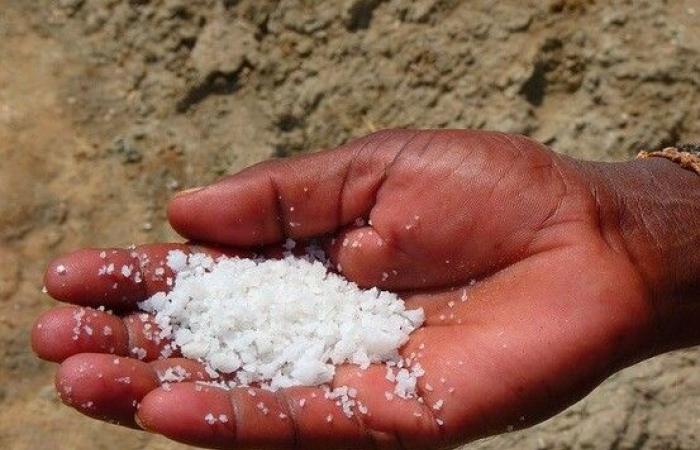 Rivelato l’impatto controverso del sale di potassio sulla salute