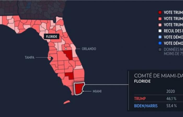 Elezioni presidenziali americane | Dove Trump e Harris hanno ottenuto i maggiori guadagni?