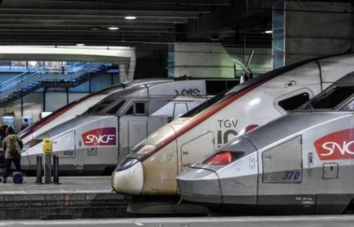 I sindacati della SNCF chiedono uno sciopero a tempo indeterminato dall'11 dicembre contro lo smantellamento della filiale del trasporto merci