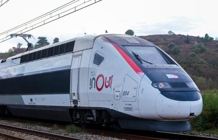 SNCF: i sindacati chiedono uno sciopero a tempo indeterminato dall'11 dicembre