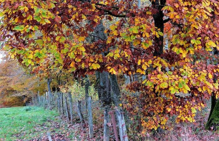 ultimo giorno di tempo mite prima dell'arrivo del freddo