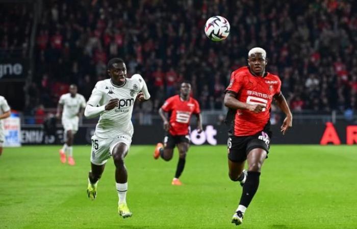 Sébastien Tambouret affronta la sfida del lavoro temporaneo a Rennes (Ligue 1)