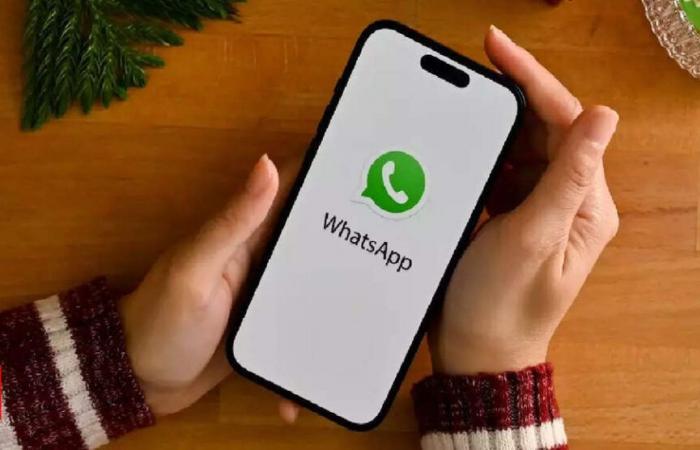 Gli utenti WhatsApp in questo Paese dovranno pagare una tariffa di licenza al dipartimento postale per diventare amministratori del gruppo WhatsApp