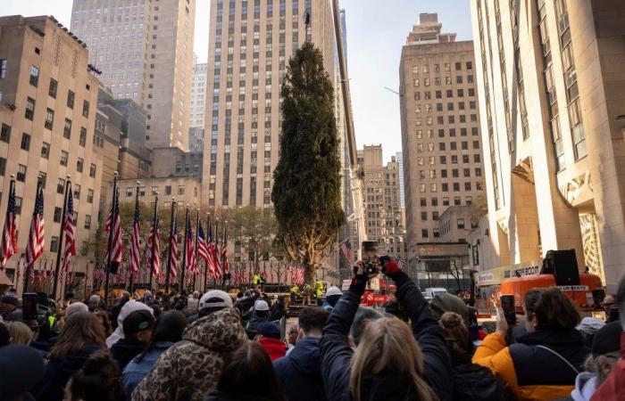 L’abete rosso del Massachusetts arriva a New York come albero di Natale del Rockefeller Center