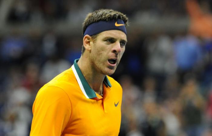 ATP > Del Potro su Djokovic: “A Miami Novak mi ha mandato un messaggio: 'Delpo, so che sei qui, voglio andare a cena insieme'. Siamo andati lì e dopo una discussione spettacolare, durata diverse ore, mi ha detto: 'puoi contare su di me, farò tutto quello che posso per aiutarti'”