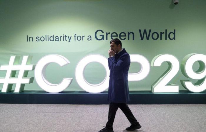 Un “tradimento”: una ONG intrappola il direttore generale della COP29 che propaganda accordi sui combustibili fossili