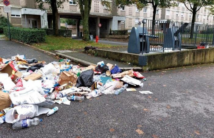 Bambino trovato in un bidone della spazzatura a Rennes. La madre sporge denuncia per stupro contro il padre, conferma il suo avvocato