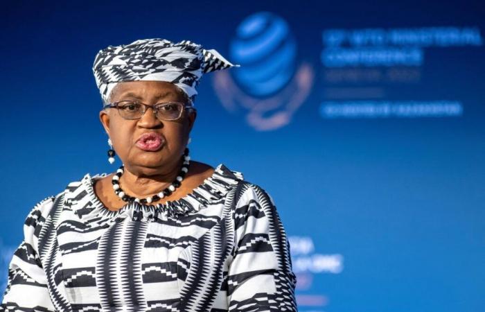 OMC: il nigeriano Okonjo-Iweala unico candidato alla successione