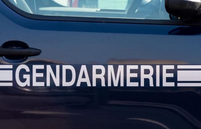 Un bambino di 6 anni gravemente ferito dopo essersi aggrappato all'auto del padre che voleva abbandonarlo nel bosco