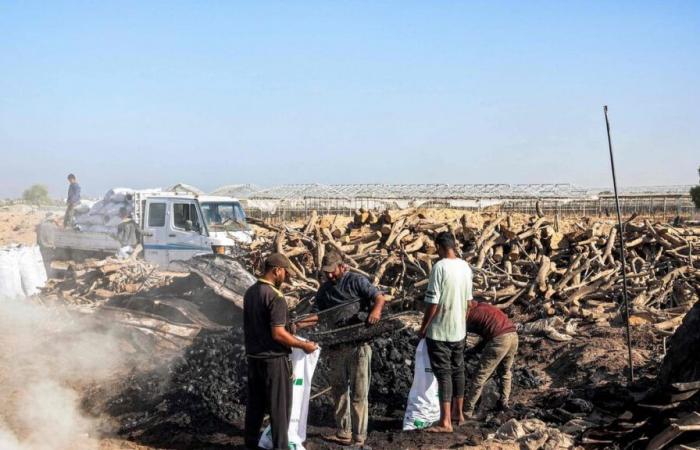 Striscia di Gaza: la Protezione Civile annuncia 14 morti in due attacchi israeliani