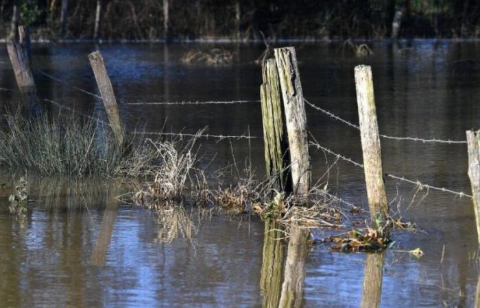 Meteo: Alta Corsica posta in allerta arancione per piogge e inondazioni: notizie