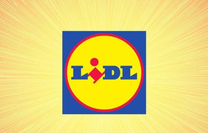 Sì, Lidl partecipa al Double 11 questo lunedì ed è già pazzesco