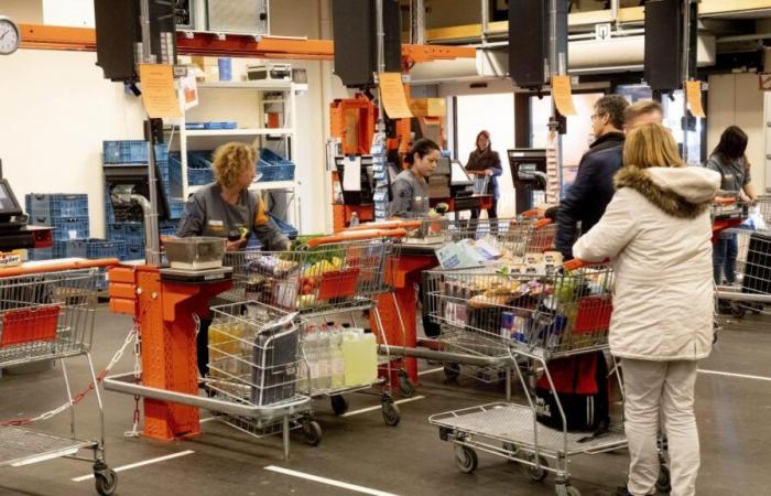 Supermercati, trasporti… cosa è aperto e cosa chiude questo 11 novembre