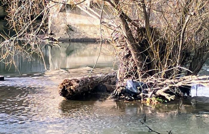 una diagnosi gratuita per limitare le conseguenze delle alluvioni