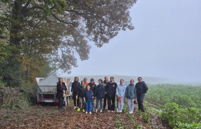 dei giovani raccolgono i rifiuti in una discarica abusiva a Laboissière-en-Thelle