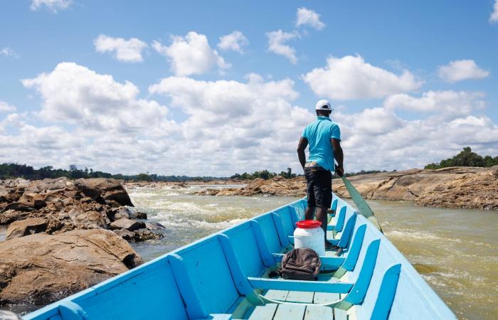 In Guyana, una siccità eccezionale sconvolge la vita quotidiana sui fiumi