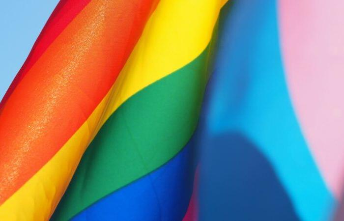 la vita quotidiana delle persone LGBTQ+, descritte come una comunità estremista · Global Voices in francese