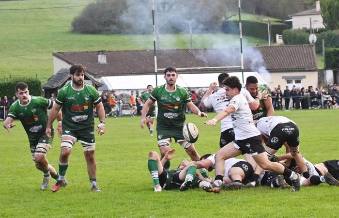 Rugby, Federal 2: condivisione di punti nel derby Vergt – Bergerac in Dordogna