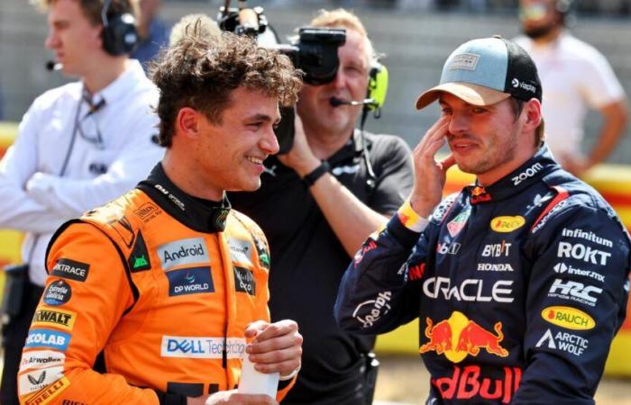 Ralf Schumacher valuta il rapporto elettrico tra Verstappen e Norris