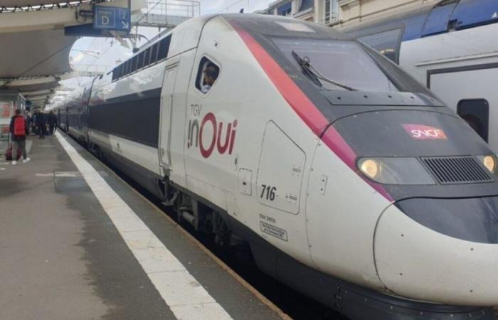 dopo un mese di interruzione, sappiamo quando riaprirà la linea TGV Paris Saint-Étienne