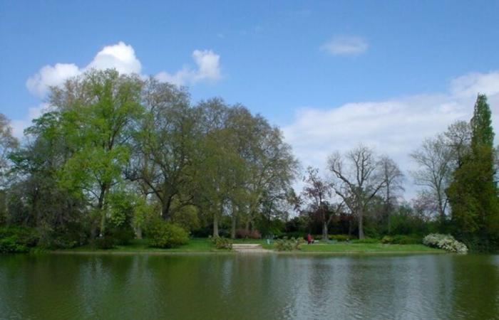 dopo essersi rifiutata di obbedire, un'auto finisce nel lago Daumesnil