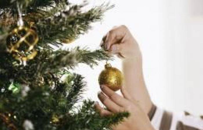 Albero di Natale: quando installarlo?