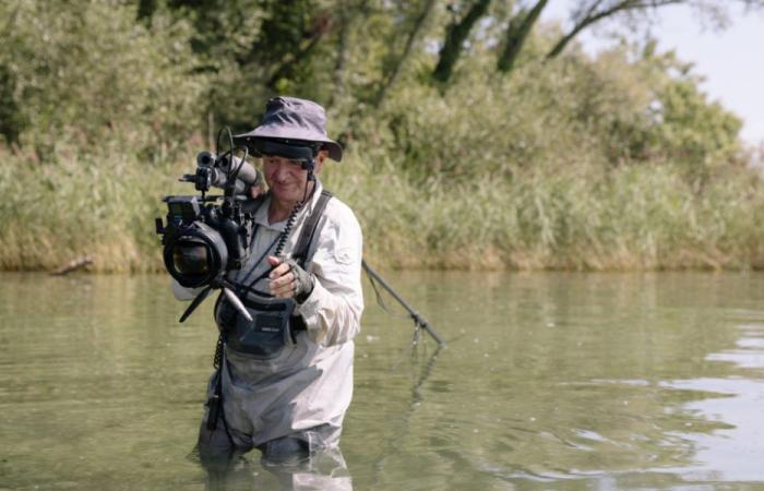 Immersioni nelle acque profonde del Lago di Ginevra alla Maison de la Rivière