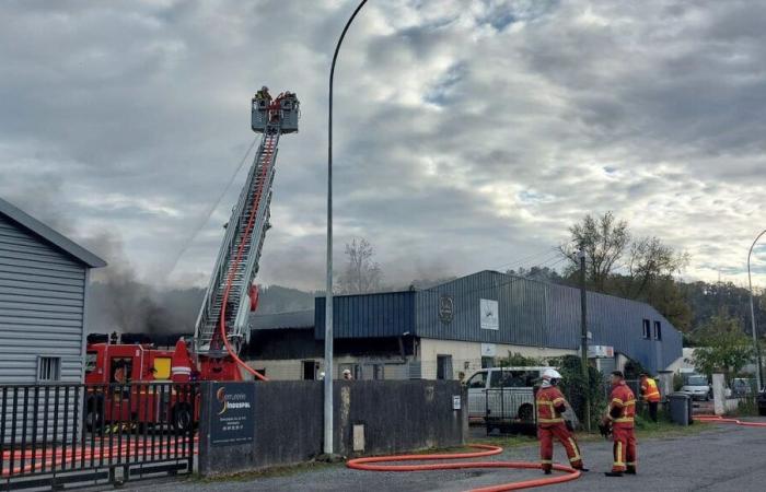 Lons: “si piange e basta”, sconsolati i pasticceri dopo l'incendio che ha distrutto il loro magazzino