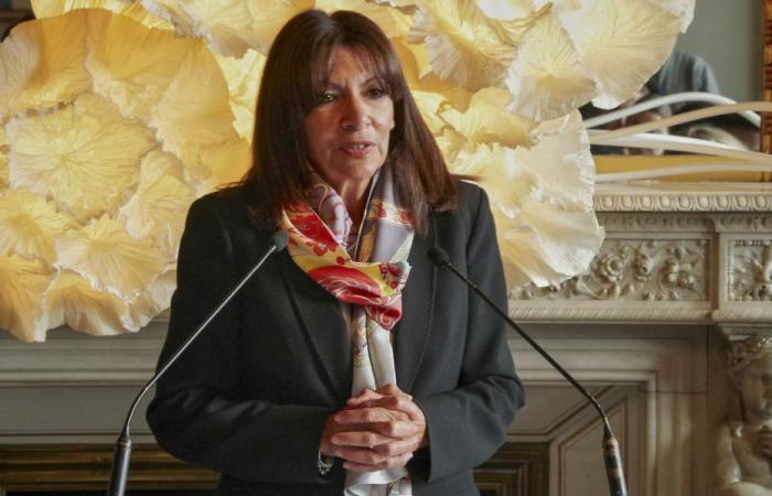 Tangenziale a 50 km/h, zona a traffico limitato… Anne Hidalgo annuncia nuove misure sulla circolazione a Parigi