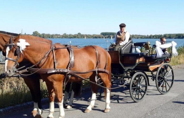 Una carrozza si ribalta a Libramont, il suo conducente muore sul colpo