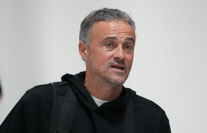 Luis Enrique annuncia un giocatore di “top qualità” al PSG