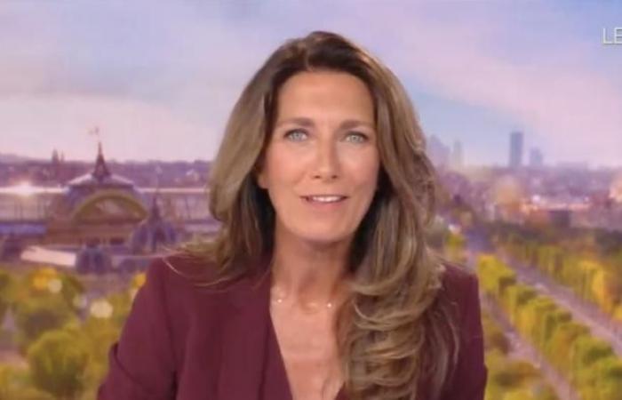 Pubblico 20:00: Anne-Claire Coudray domina ampiamente con più di 5,3 milioni su TF1 rispetto a Laurent Delahousse in difficoltà su France 2 con meno di 3,8 milioni