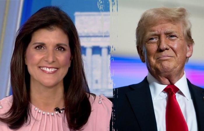 Nikki Haley risponde dopo che Trump ha detto che non farà parte del nuovo governo, dicendo che gli augura “grande successo”