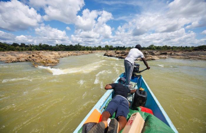 In Guyana, una siccità eccezionale sconvolge la vita quotidiana sui fiumi