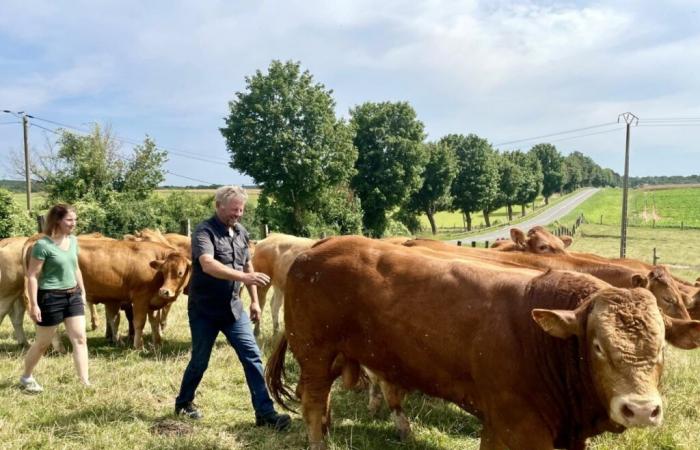 La Ferme de l'Arche, una delle ultime aziende zootecniche della Val-d'Oise