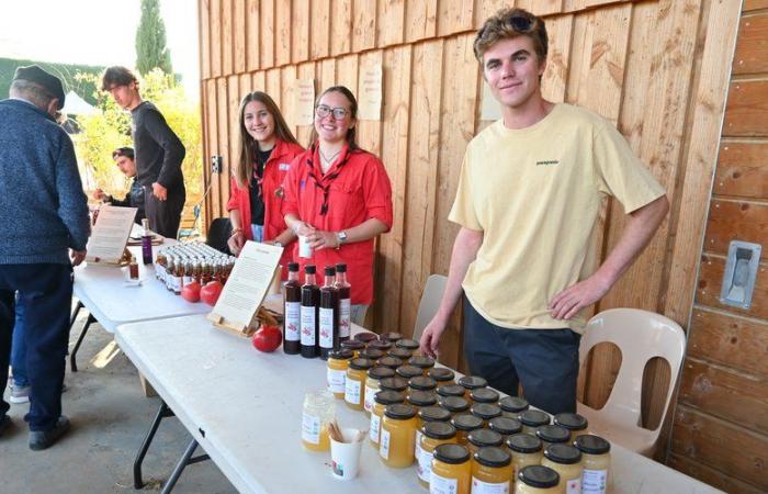 “Il territorio del Rodano Gard è favorevole alla coltivazione del melograno”, celebrato nella tenuta Grenattitude a Bagnols-sur-Cèze