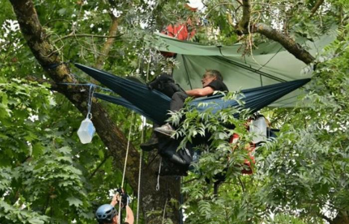 Via libera dal tribunale all'abbattimento degli alberi sulla linea LGV Bordeaux-Tolosa, gli “scoiattoli” continuano a occupare il sito