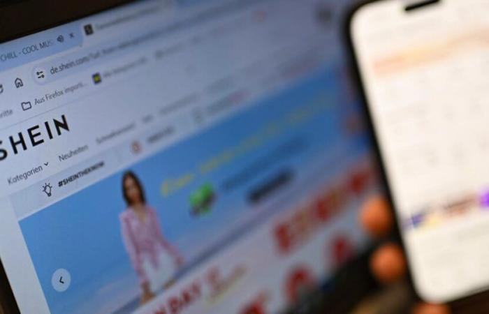 Lo scorpione nella consegna dello shopping online punge la giovane madre